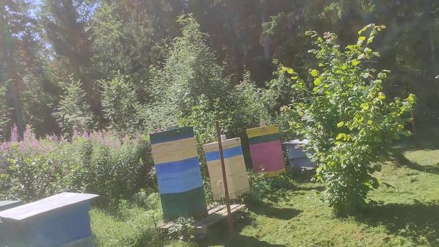 карника атакует смотреть онлайн