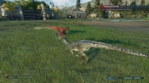 Jurassic World Evolution 2: Blue Velociraptor vs Dominion Pyroraptor