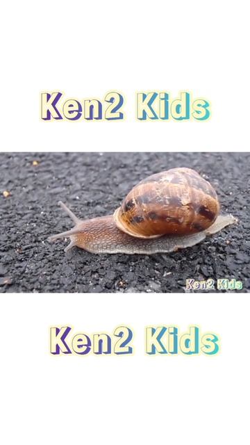 Belajar Nama Hewan Laut Untuk Anak Dalam Bahasa Inggris Part 6 смотреть онлайн