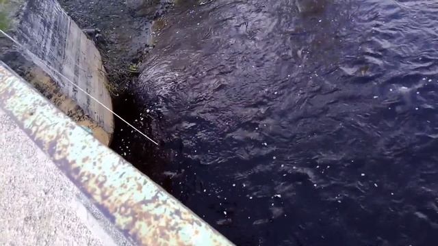 ПЕРВАЯ МЕТАЛЛОРЫБАЛКА И ЗАЛИП... смотреть онлайн