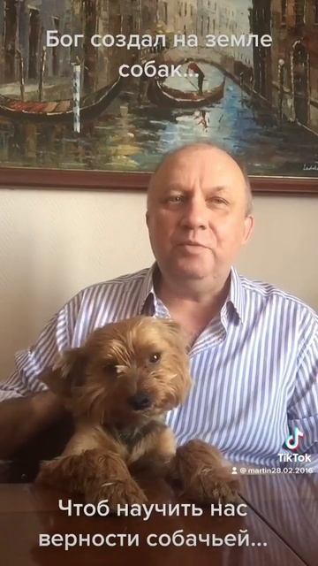 Зачем Бог создал собак?🐕🐾🧐 смотреть онлайн