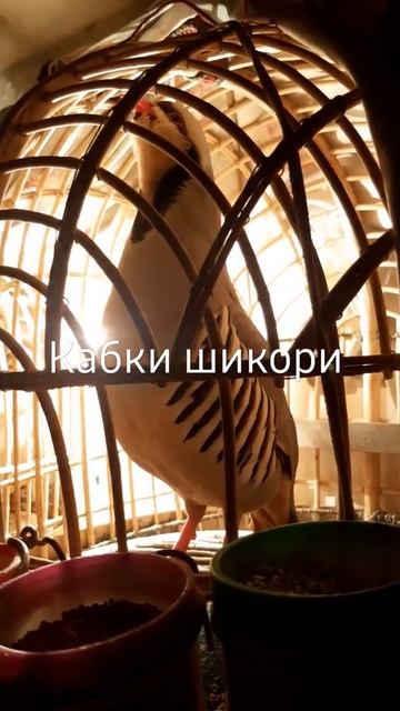 9 ноября 2021 г. смотреть онлайн