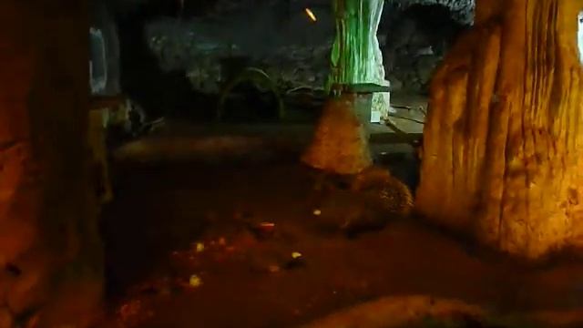 Nietoperze i jeżozwierz w zoo Estepona смотреть онлайн