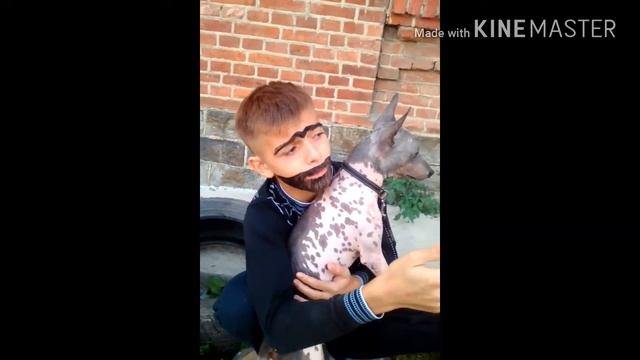 Вах Джухмед Джухмед---третья часть. смотреть онлайн