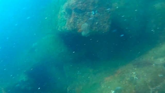 20lb Barracuda Freediving Gulf of Mexico смотреть онлайн