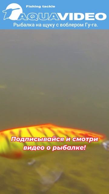 Рыбалка на щуку с воблером Гу-га. Спиннинг. смотреть онлайн