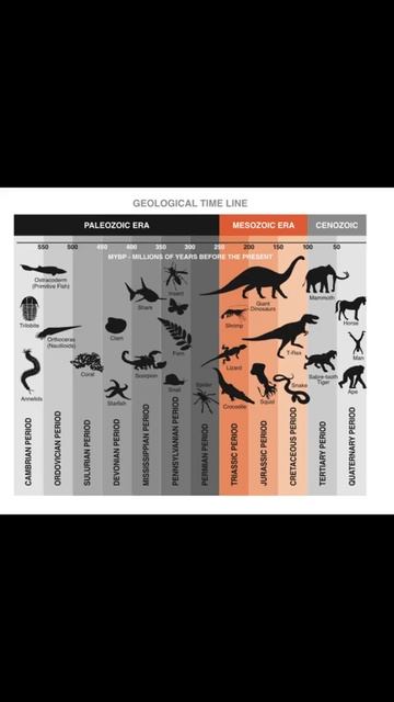Hypsilophodon Dinosaur History #Shorts (bot) смотреть онлайн