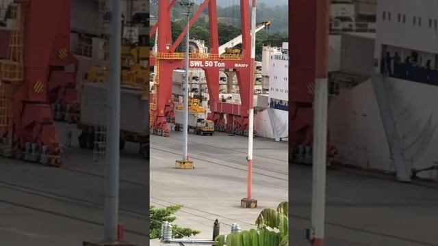 Puerto Moin смотреть онлайн