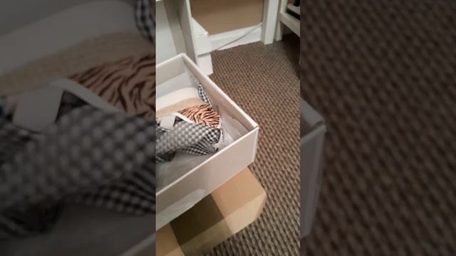 любителям обуви 😆 смотреть онлайн