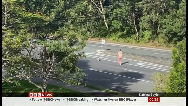 One man helps a slower koala to cross a very busy road in Australia смотреть онлайн
