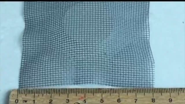 Charlie Ants/Rove Beetles season is here! Here is how to settle them... смотреть онлайн