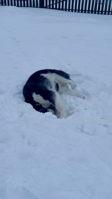 АУ, Зима??? смотреть онлайн