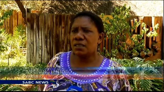 Farmers say SA may need to import maize смотреть онлайн