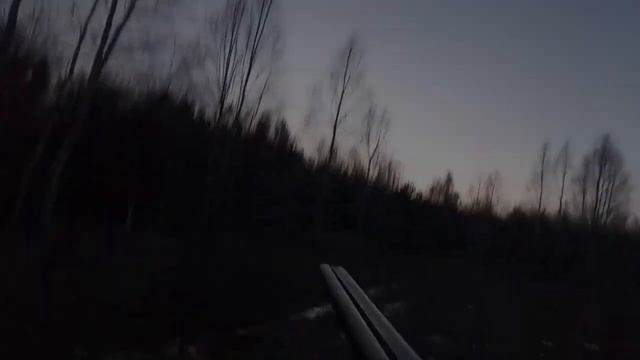 охота на вальдшнепа смотреть онлайн