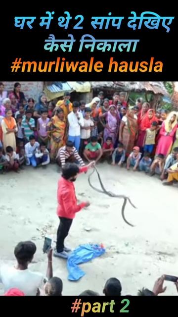#पार्ट 2 निकला नाग नागिन का जोड़ा #snakerescue #dangerous #youtubeshorts @Murliwale hausla.02M смотреть онлайн