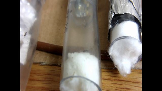 Crematogaster Update 3- Population Increases! смотреть онлайн