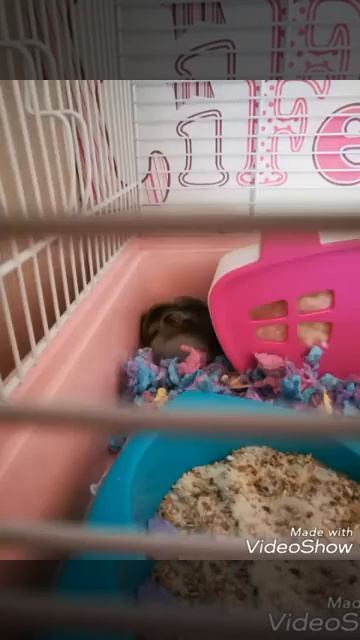 Няшка смотреть онлайн