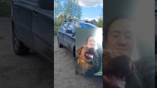 #шансожители смотреть онлайн