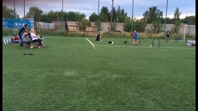 Лапушки 14.01.2020 смотреть онлайн