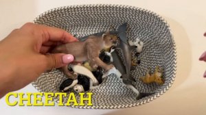 Learn Animal Names & Sounds I Animal Videos I Land & Sea Animal Toys I Educational For Kids