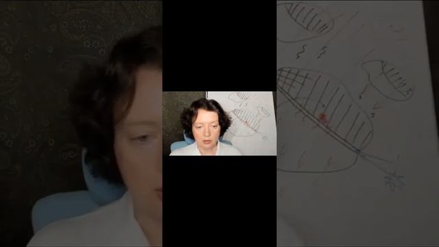 Любовь к себе Елена Веселаго_3