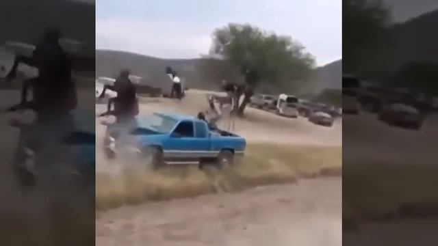 лошадь врезалась в машину смотреть онлайн