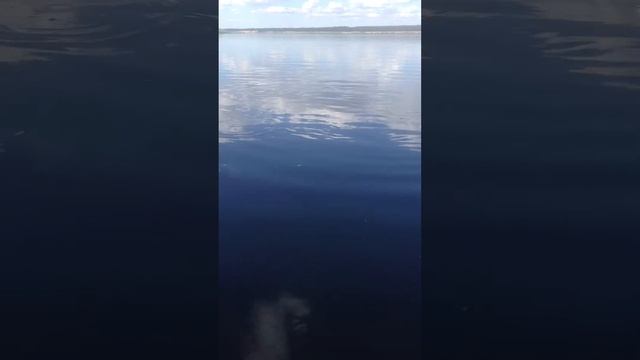 Щука! смотреть онлайн