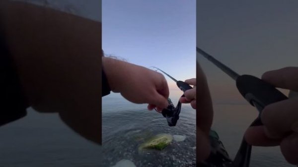 Морская рыбалка - Новороссийск