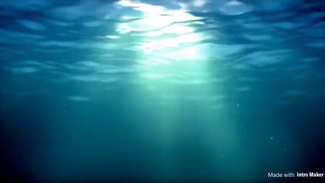 Underwater Narwhal смотреть онлайн