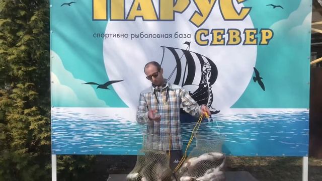 25 кг форели, вот такой улов смотреть онлайн