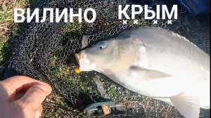 Рыбалка на карпа. Скифская деревня рыбалка.