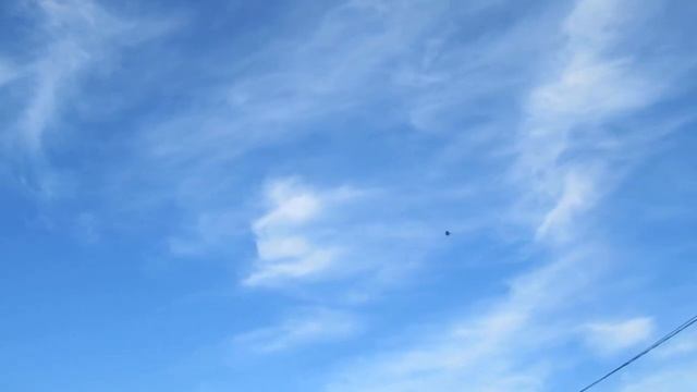 Хищник смотреть онлайн