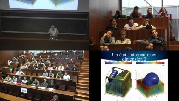 "Perception visuelle et équations intégro différentielles" par O. Faugeras et Y. Frégnac
