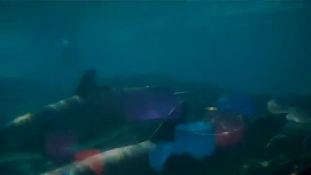 The Jay Zone part 2 (Singing Crystal Bowl Tour) смотреть онлайн