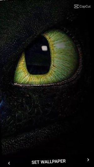 #Как приручить дракона #беззубик #мультфильм