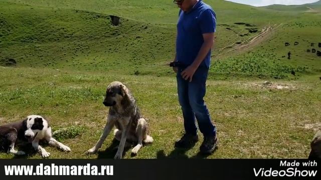 Саги дахмарда Акаи Саида из селения Зидех, Варзобского района смотреть онлайн
