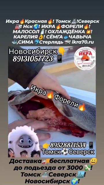 Икра🔥Красная🔥! Томск🏯!Северск🏭! Нск🌏! ИКРА🔥ФОРЕЛИ🔥! СЁМГА🐟ЧАВЫЧА🐳,СИМА🐬Стерлядь🦈! 89528871534📲 смотреть онлайн
