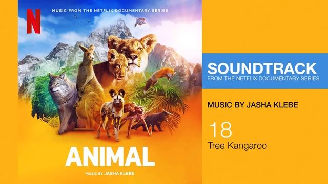 Netflix Animal: Tree Kangaroo (Music by Jasha Klebe) смотреть онлайн