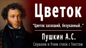 А.С. Пушкин «Цветок» (Цветок засохший, безуханный) - Слушать аудио стихотворение