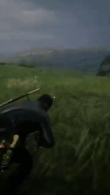 Red dead redemption 2 онлайн "Животные не пострадали" смотреть онлайн