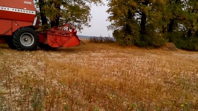 Massey Ferguson 206/2016 Гречка смотреть онлайн