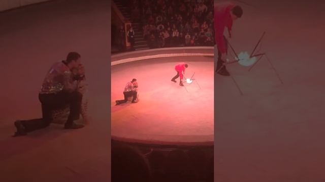 леопард на колесе?! а не только! смотреть онлайн
