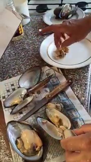 Разделываем беззубок смотреть онлайн