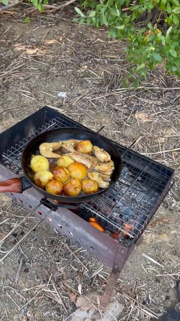 Жаренный Судак с Картофелем😋#казахстан #рыбалка2023 #отдых #fishing #river #spinning #астана #еда смотреть онлайн