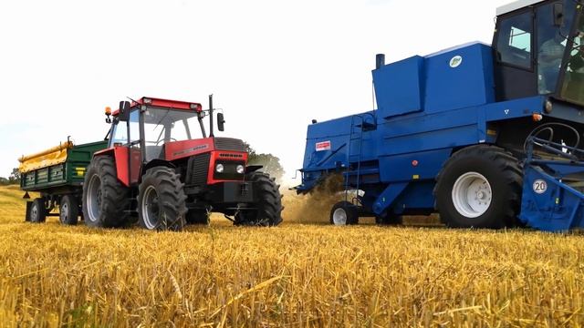 ☆ Polskie Żniwa 2019 ☆ Bizon Z056 Super & URSUS 1204 DE-LUXE & AUTOSAN D45 ✔✔✔ смотреть онлайн