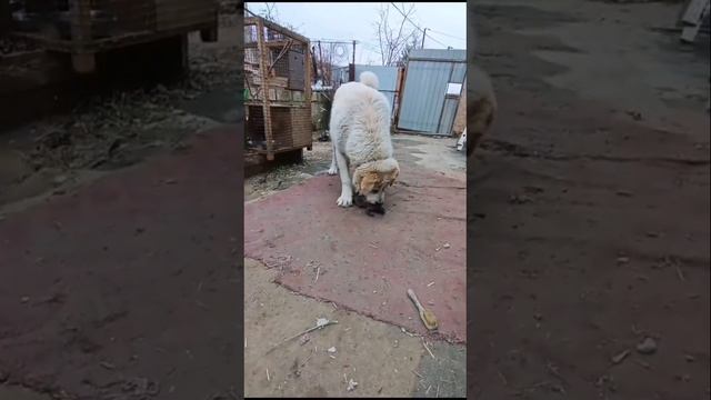 13 февраля 2024 г. смотреть онлайн