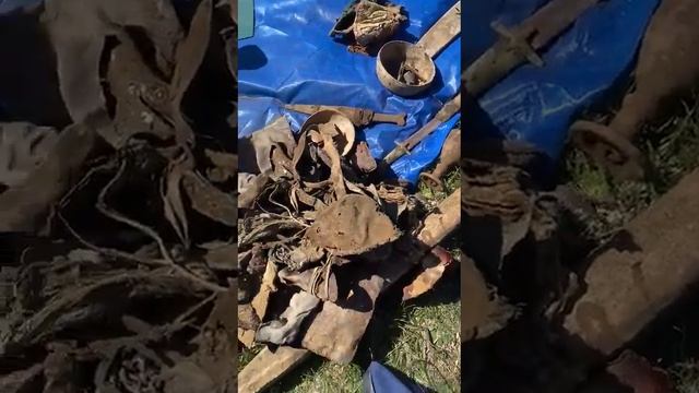 Ариологические ценности Ингушетии смотреть онлайн