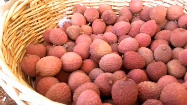 Моя новогодняя охота 17 смотреть онлайн