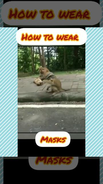 #shorts#funny#viral .How to wear masks and walk independently Learn from an animal monkey смотреть онлайн