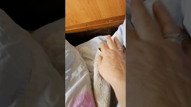Маленький крольчонок!!!! смотреть онлайн